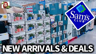 SAMâS CLUBđ¨AFFORDABLE HIDDEN GEMSâźď¸ #samsclub #new #shopping