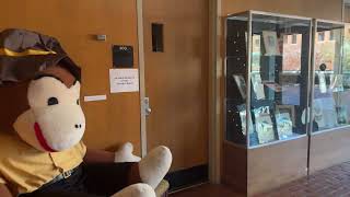 USM McCain Library and Archive - Mini Documentary