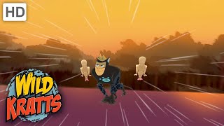 Wild Kratts |Kratt Brothers To The Rescue | Creature Power