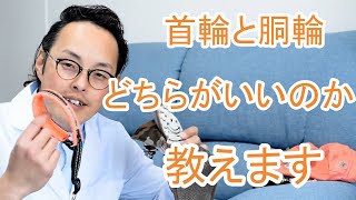 【迷った時】犬の首輪と胴輪。どちらが良いかを解説