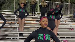 PMHS Pegasus Danceline | Grant ‘24 Highlighta