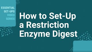 How Do I Set-up A Restriction Enzyme Digest?