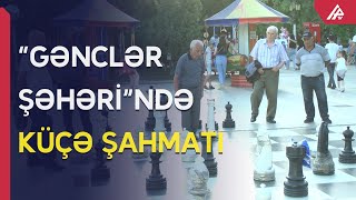 Azərbaycanın bu şəhərində hamı küçədə şahmat oynayır - APA TV