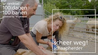 Schaapherder worden op een boerderij: hoe doe je dat? | Randstad - Dag 83