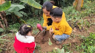 Phong and Thao experience harvesting sweet potatoes with Sy's mother. so fun.