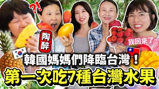 韓國媽媽們爬拉拉山，吃爆台灣水果：芒果，鳳梨，荔枝等等🥹不敢相信台灣水果這麼好吃！🇰🇷韓國大媽旅遊團ep01