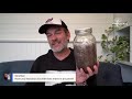 Q&A: How To Grow Mushrooms in Buckets (+ wild fungi foraging)