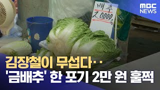 김장철이 무섭다‥'금배추' 한 포기 2만 원 훌쩍 (2024.09.25/뉴스투데이/MBC)