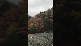 雨の丹沢 尊仏の土平