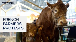 Biggest agricultural show under way in Paris