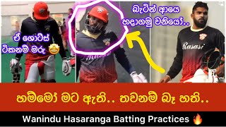 වනියා හොද පණ යනකන්ම බැට් කරල අදනම් 😍 Wanindu Hasaranga Batting Practices at Desert Vipers' Nets