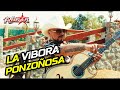 La Víbora Ponzoñosa - LOS RUGAR  - Video Oficial
