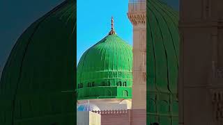 Ye shahre mustafa hai #yanabiallahﷺ #madina #madinasharif #madinah #status #love #short  #jatbismil