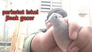 Playtube Pk Ultimate Video Sharing Website