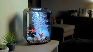 Aquarium Design Inspiration | biOrb LIFE 15