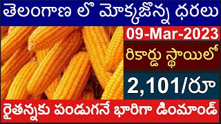 ఈరోజు మెక్కజోన్న ధరలు II MAIZE PRICE IN TELANGA MARKETS II TODAY MAIZE RATE IN TELANGANA #