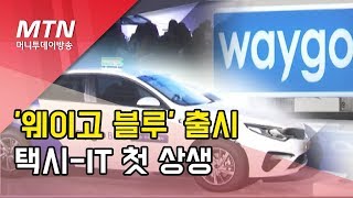 카카오-택시사업자 맞손…승차거부 없는 '웨이고 블루' 출시 / 머니투데이방송 (뉴스)