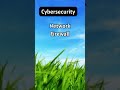 Cybersecurity Definition #5 - Network Firewall #shorts #short #firewall #network