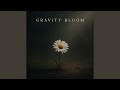 Gravity Bloom