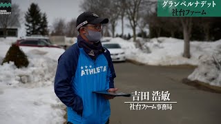 《4K》【グランベルナデット】_社台ファーム現地視察_2022/3/12撮影