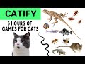 Cat Games - [6 HOURS - ]Mega Compilation Video for Cats to Watch - Mice, Fish, Bee, Cockroach...