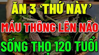 Chỉ 1 Nắm LÁ MƠ LÔNG, Cứu TRIỆU NGƯỜI, UNG THƯ Cũng Xin Thua, Về Già Phải Biết