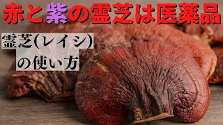 【生薬】霊芝(れいし)の使い方!！【中中研の切り抜き】