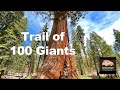 TRAIL OF 100 GIANTS: The Sequoia National Forest