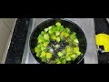 how to make cucumber sambharo 2021 કાકડી નો સંભારો gujarati🔥