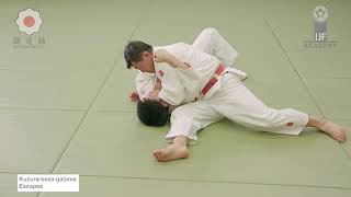 Kuzure Kesa Gatame Escapes