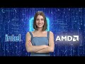 intel vs amd which processor should you buy in 2025