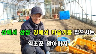 산에서 산삼 캐고 강에선 다슬기를 잡으시는 약초꾼 할아버지.