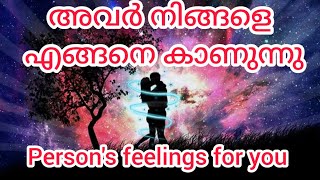 ❤️❤️അവർ നിങ്ങളെ എങ്ങനെ കാണുന്നു 😍😍😍😍😍🧲🧲YOU/THEM #love #tarotreading #astrology #malayalam ❤️❤️❤️❤️❤️