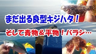 【カヤックフィッシング】どんどんハマるカヤックフィッシング！根魚～青物、平物まで☆彡