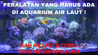 Ikan Hias Laut Dan Coral Yang Mudah Di Pelihara | PERALATAN APA SAJA YANG WAJIB DI AQUARIUM AIR LAUT