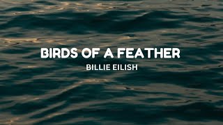 Billie Eilish - Birds of a Feather(Lyrics)