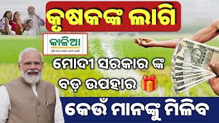 କୃଷକ ଙ୍କୁ ମୋଦୀ ସରକାର ଙ୍କ ବଡ଼ ଉପହାର//Fortilizer Subsidy Scheme Apply //Agriculture Fortilizer Subsidy