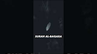 SURAH AL-BAQARA |Ayaat 66-68| Recitation by Mishary Rashid Alafasy | Islam The Heavenly Path