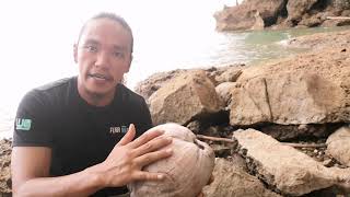 How to husk and open a coconut with out any tools the fastest and easiest way