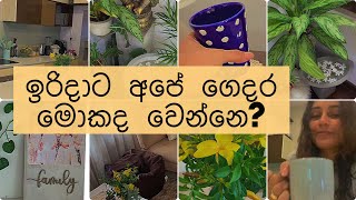 ඉරිදා දවසට අපේ ගෙදර මොකද වෙන්නෙ? 😬 | On Sunday’s we CLEAN 🫣 | Saranga \u0026 Dinakshie 🤣