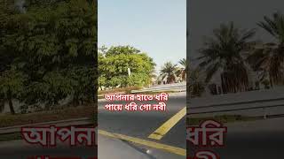 আপনার হাতে ধরি পায়ে ধরি গো নবী