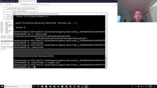 pico2019 slippery shellcode