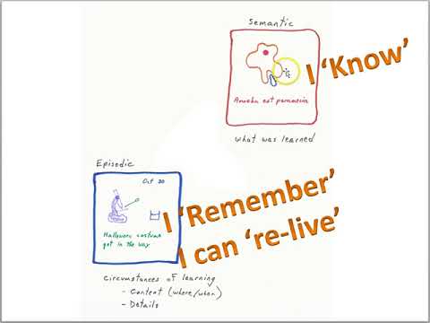 What is the difference between semantic and procedural memory?
