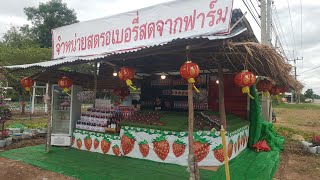 เดินทางคนเดียว กส-กทม  แวะไร่สตอเบอรี่  Road Trip (visit  Strawberry Farm)