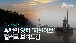 흑백으로 담아낸 아름다움…영화 '자산어보' 컬러로 보여드림│ #여기어디