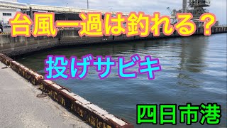 台風一過は釣れる？投げサビキ釣り 四日市港