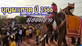 แห่ผะเหวด บุญผะเหวด ปี 2566 บ้านดงมะไฟ อ.บ้านม่วง จ.สกลนคร มีฮอดช้าง #บุญผะเหวด #ม่วนๆ