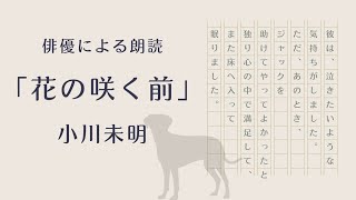 【俳優による朗読】「花の咲く前」小川未明 / 童話 少年 犬 友情 愛情 優しい話 暖かい話