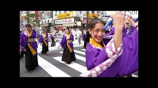 日本体育大学「舞桜」みずき通り演舞【東京よさこい2018】