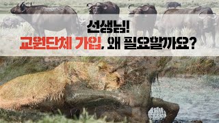 [샘TV] 선생님! 교원단체 가입, 왜 필요할까요?